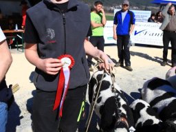 2019_ausstellung polling_585